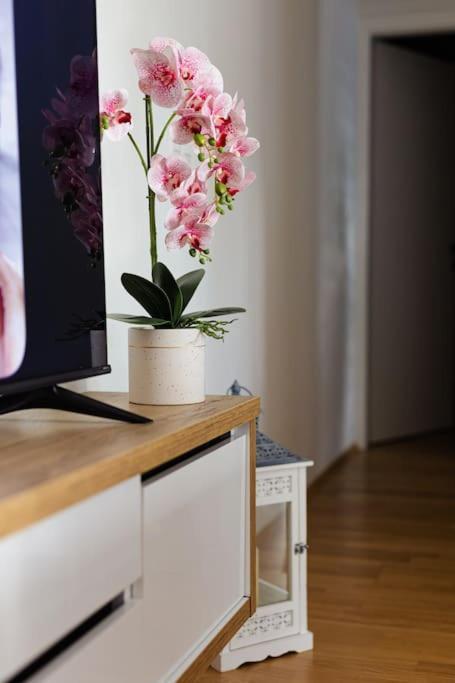 Apartman Lux Self Check-In 빌로비티카 외부 사진